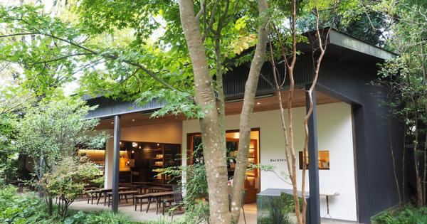 なんかいいことありそう♪ 小田原・報徳二宮神社併設「きんじろうカフェ」で開運ドリンク＆ランチを