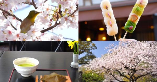 桜満開の鎌倉でお花見しながら楽しむおだんご＆桜餅♪つくりたて焼きたてが嬉しいおすすめのお店5選