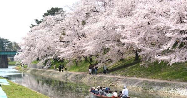 桜まつりも開催中♪ 地元グルメやレトロな風景など魅力いっぱいの岡崎城下町を春さんぽ