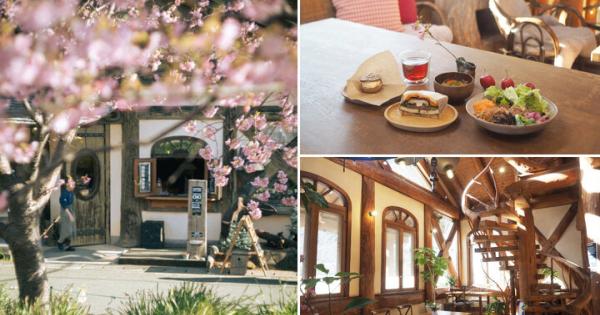 河津桜を眺めながら♪ 絵本の世界に迷い込んだようなログハウスカフェで特別なランチを「ホドホドBase」