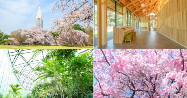 高層ビルに囲まれた都会のオアシス「新宿御苑」で春を満喫♪