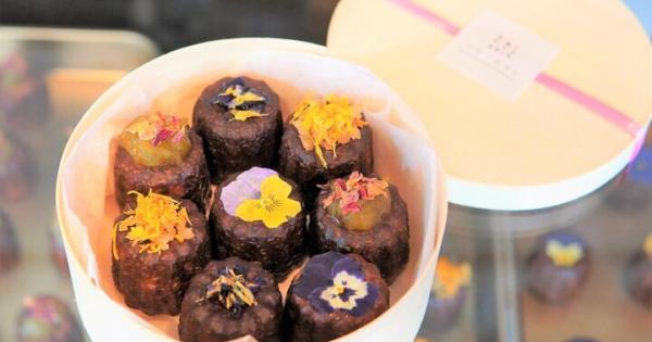 鎌倉らしさをひと包み♪本当に喜ばれるセンスのいい手土産5選