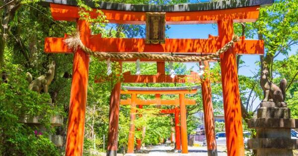 京都・吉田山の青もみじさんぽ、新緑に輝く神楽岡から京大キャンパスへ♪ 隠れ家カフェや庭園美術館も