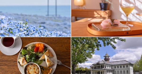 見頃を迎えたブルー一色のネモフィラの花畑、和カフェ、レトロ建築をめぐる茨城旅へ