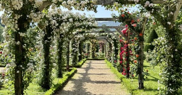 まるでフランスの秘密の花園♪ 伊豆「河津バガテル公園」で出会う色とりどりのバラと優雅なカフェ時間