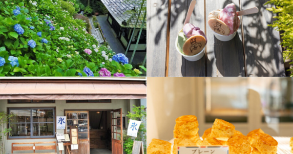 鎌倉のおしゃれな街並みとあじさいを楽しむ♪由比ガ浜通りを散策しながら花の寺・長谷寺へ