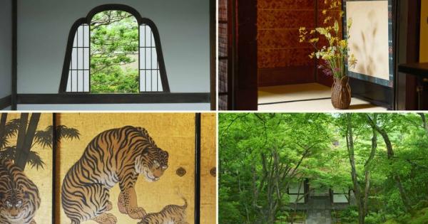 京都の夏を楽しむ♪ 目にも爽やかな青もみじや、涼を呼ぶ京町家の夏のしつらえ