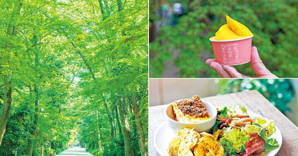 京都よりみちこみち　下鴨本通【後編】