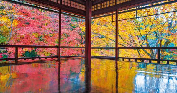 この秋行きたい京都の紅葉5選。真紅や黄金色に輝く木の葉に感動