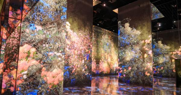 京都にチームラボ国内最大のミュージアムが誕生。日本未発表作品も