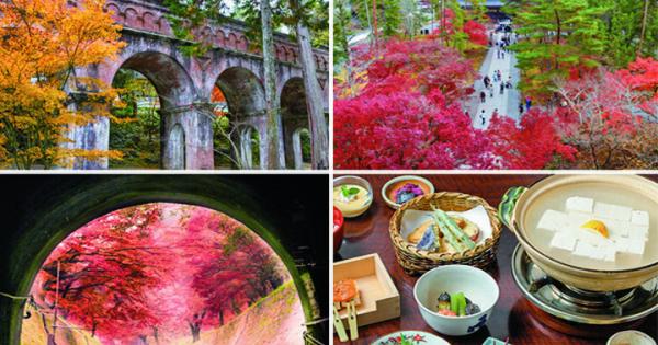 【京都・新国宝を訪ねる紅葉さんぽ】琵琶湖疏水で船旅を楽しんだ後は、庭園めぐりや湯豆腐も♪