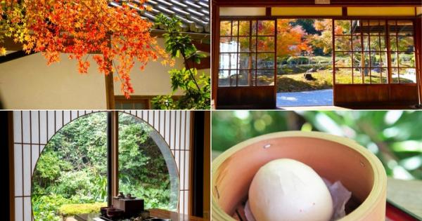 深まりゆく秋の北鎌倉を満喫♪古刹の特別拝観で楽しむ紅葉と地元の食材を味わう湯豆腐のお昼ごはん