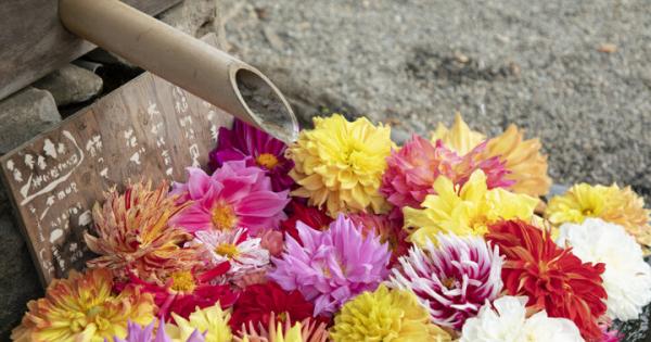 日帰りで気軽に小旅行気分♪「深大寺」周辺をぐるり街さんぽ～年越しそばや初詣など年末年始も楽しめる～