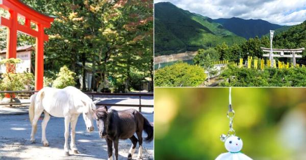 白黒2頭の神馬に会える♪ 奈良・吉野「丹生川上神社」で心潤す三社めぐり