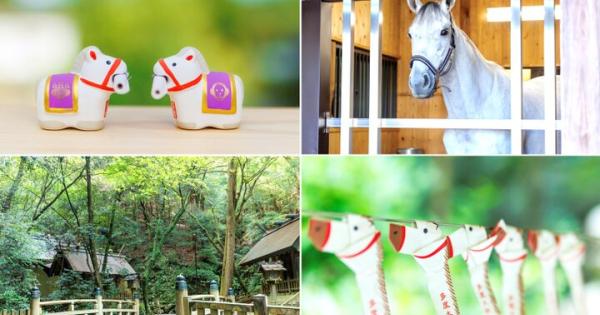 午年のお参りは、白馬伝説を語り継ぐ“北のお伊勢さん” 三重の「多度大社」へ