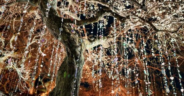 京都・北野天満宮がアート空間に。蜷川実花 with EiMが彩る「KYOTO NIPPON FESTIVAL 2026ｰ時をこえ、華ひらく庭ｰ」