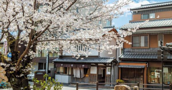 春爛漫の西陣桜さんぽ。京都よりみちこみち 寺之内通＆小川通【前編】