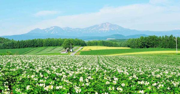 【2025年最新】旭川おすすめ観光スポット～現地スタッフ厳選 BEST22～