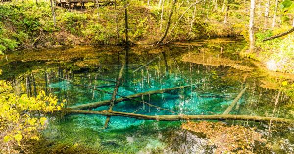 【2025年最新】北海道の世界遺産！知床の人気観光スポット14選