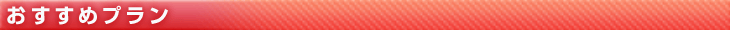 おすすめプラン