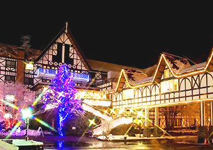 ���y��򉷐�@�z�e���O���[���v���U�y���