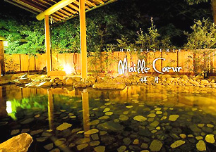 �������{����@�z�e���@�}�C���N�[���ˌ�