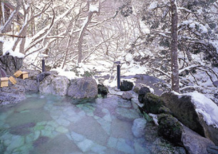 �����쉷��@�S�{��㗬�̂����炬�̉B��h�@�ԂƉ�