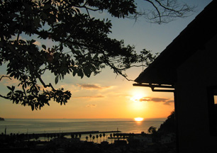 �X�̓���]�̗���h�@���Ԉ��@���f