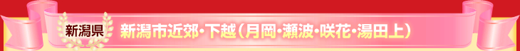 新潟県 新潟市近郊・下越(月岡・瀬波・咲花・湯田上)