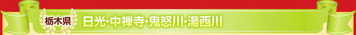 栃木県(日光・中禅寺・鬼怒川・湯西川)