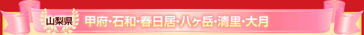 山梨県(甲府・石和・春日居・八ヶ岳・清里・大月)