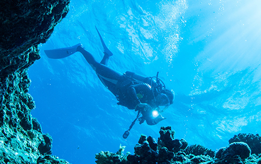 カップル・女子