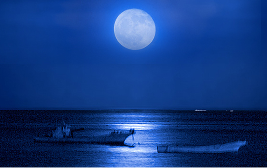 カップル・女子