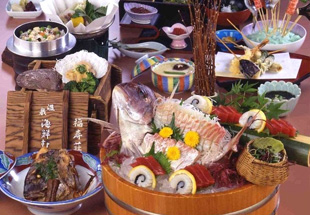 �V�R����@���҂��̓��@������