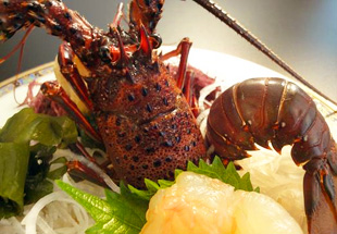 �l�ӂ̂��h�@�����p�V�t�B�b�N�z�e��