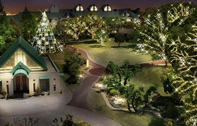 �鎭�T�[�L�b�g�@�t�����[�K�[�f���z�e��