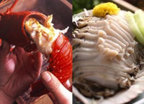 �l������@�����ف@�j���[�l��