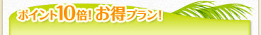 ポイント10倍!お得プラン!