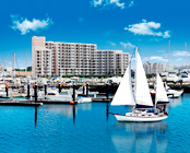 ���[���I�[�V�����X��p�@�z�e�������W�f���X