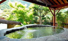 �V�铒��������@���Ǒ��@�i���΂Ƌ��؂̘I�V���C�������̏h�j