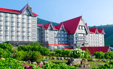 �z�e���O���[���v���U���n