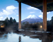 仙石原温泉 ホテルグリーンプラザ箱根