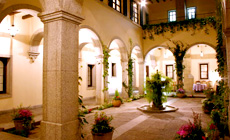 �z�e�������g���_��