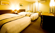 �z�e���@�؃N���u���