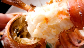 芭新萃 −はなしんすい−