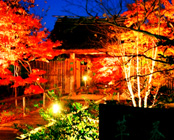 湯の川温泉 湯宿 草菴