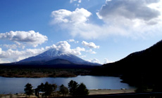 ���i�}�E���g�z�e��