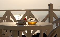 �˓c����@�C�ӂ̏h�@�˓c�G���K���X