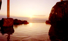 瀬波温泉 大観荘 せなみの湯