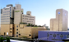 ��ʃO�����h�z�e���{��